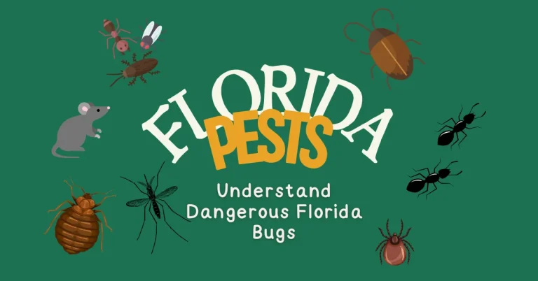florida pests