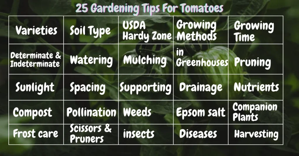gardening tips for tomatoes