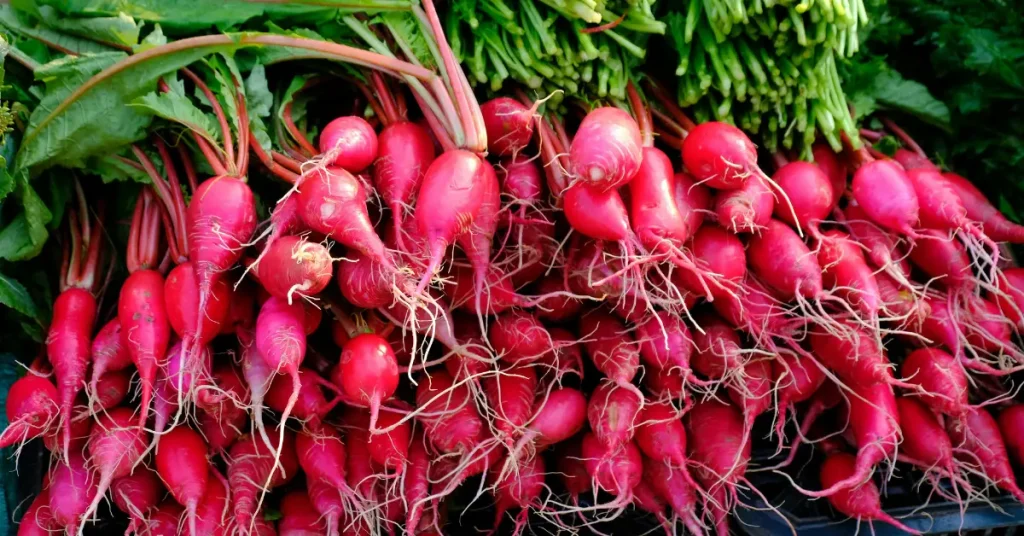 plants that love coffee grounds radishes