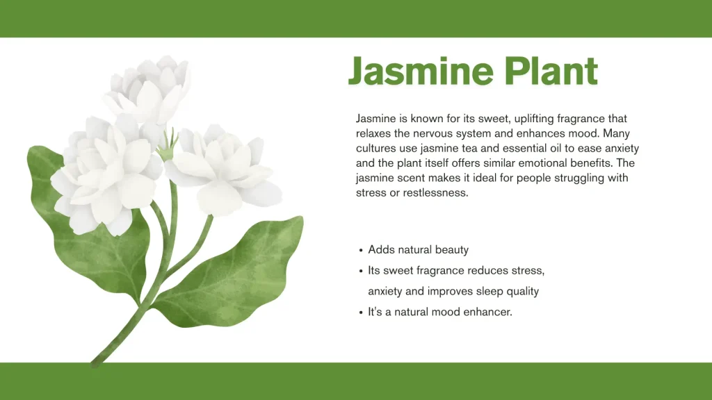 best plants for mental health jasmine