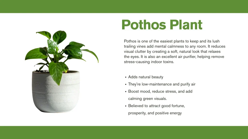 best plants for mental health pothos