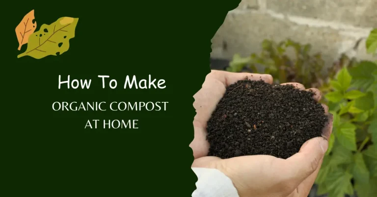 How To Make Organic Compost At Home