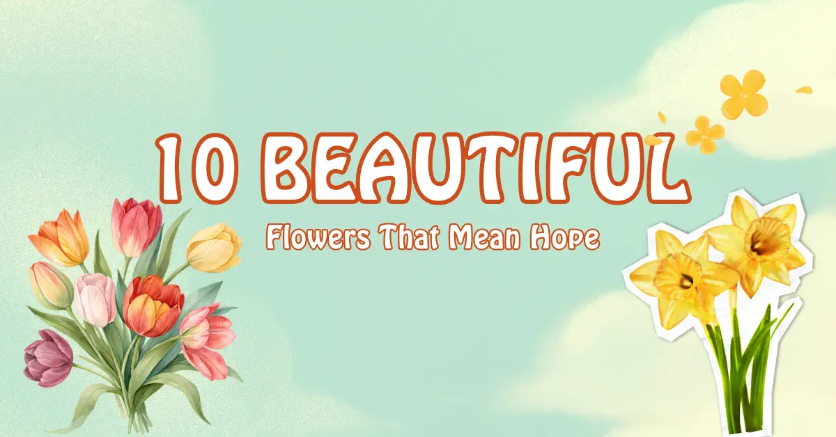 flowers that mean hope