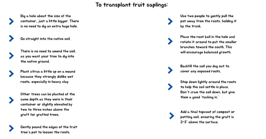 mini orchard plantings