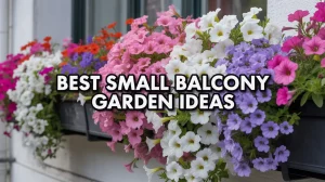 best small balcony garden ideas