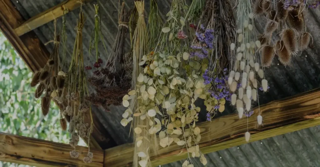 how to dry flowers air drying