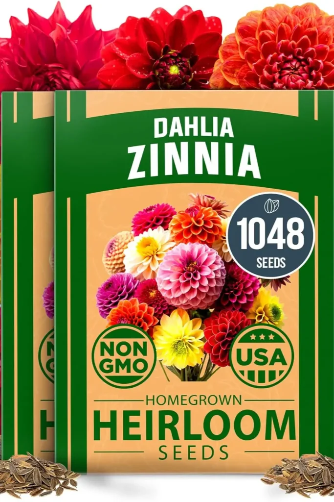how to grow dahlias an easy guide