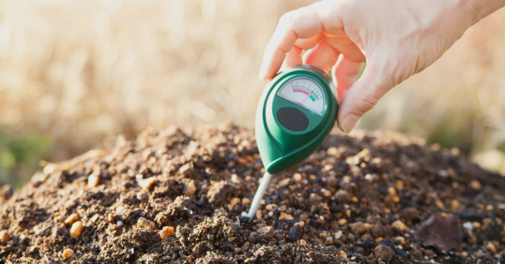 problems with hydrangeas in pots soil ph