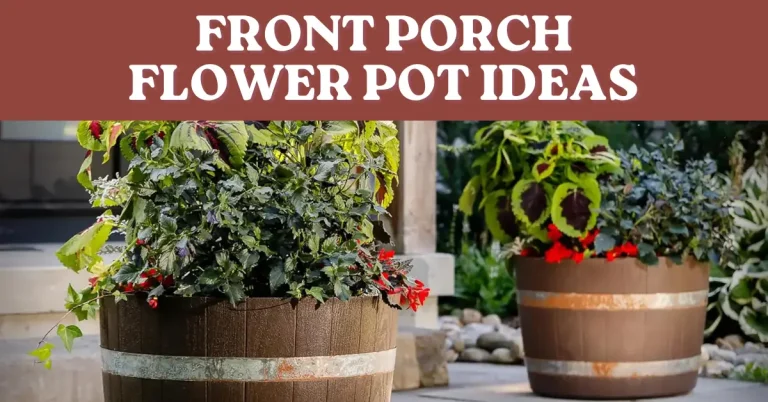 10 Front Porch Flower Pot Ideas (Simple and DIY)