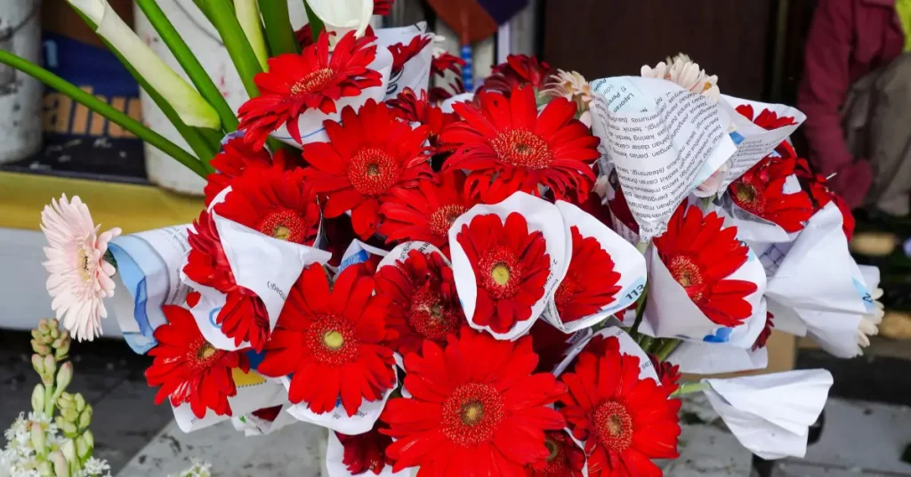 Gerbera flowers for friendship