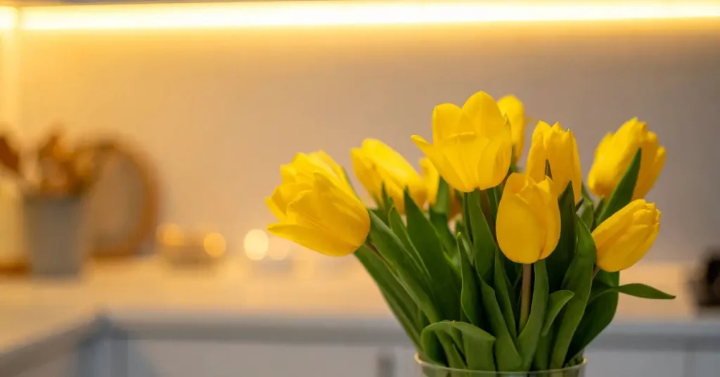 Yellow Tulips