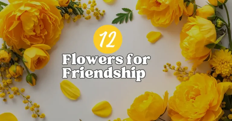 flowers for friendship