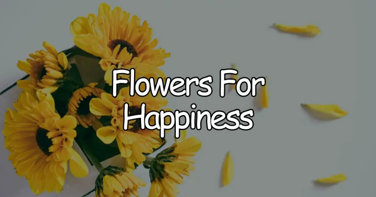flowers for happiness