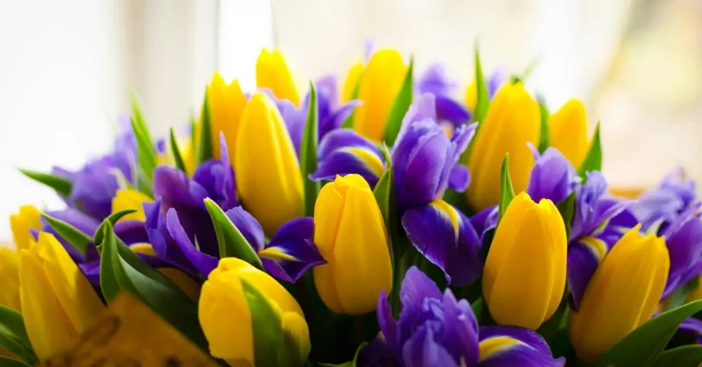 flowers for happiness tulips