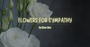 flowers for sympathy