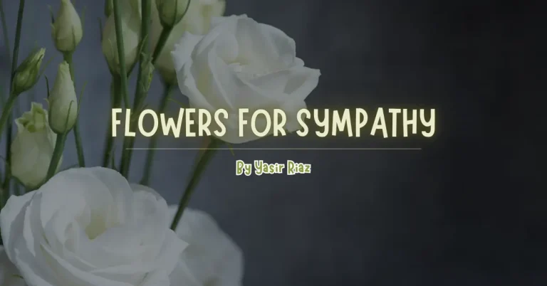 flowers for sympathy