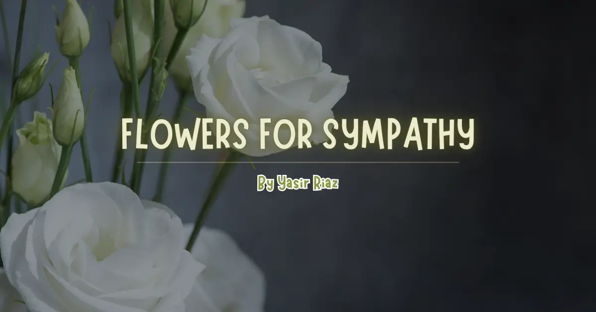 flowers for sympathy