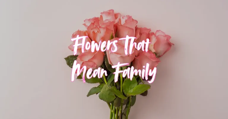 flowers that mean family