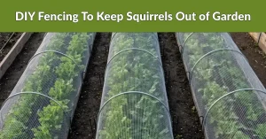 10 DIY Fencing To Keep Squirrels Out of Garden