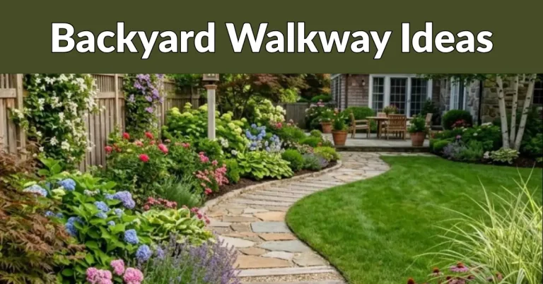 Backyard Walkway Ideas image
