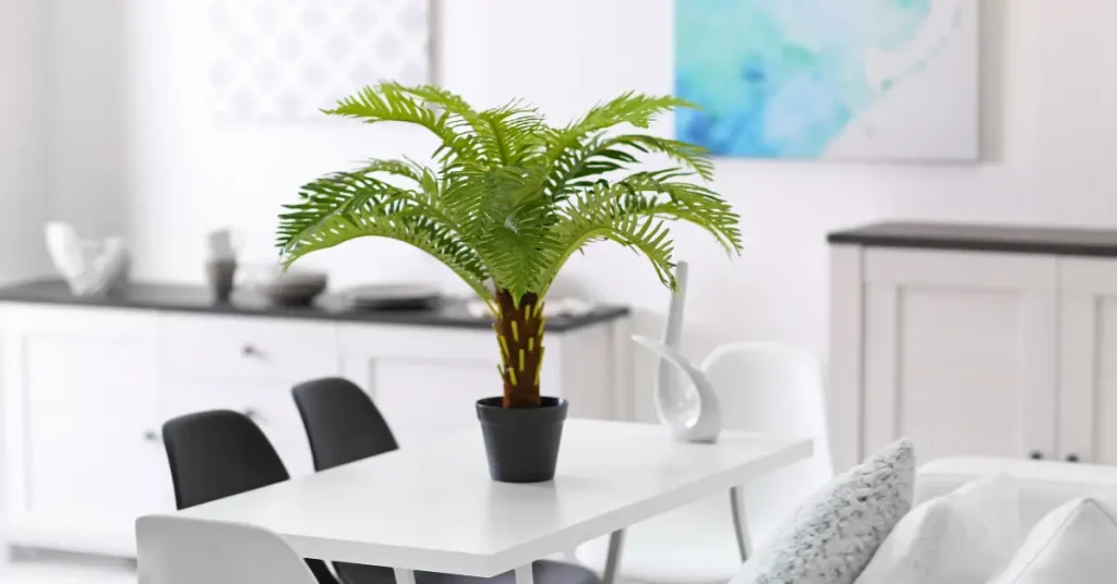 Dangerous Houseplants For Cats