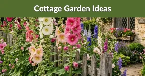 cottage garden ideas