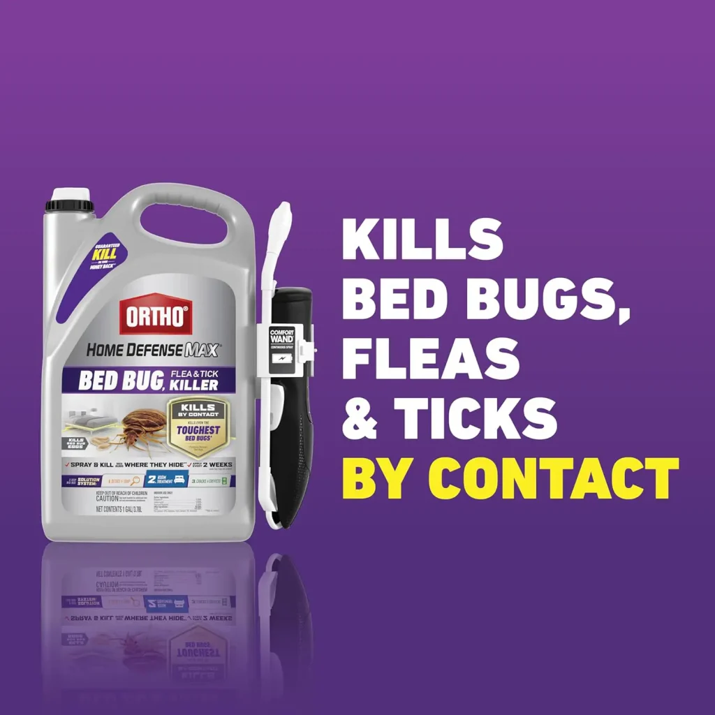 how to get rid of bugs in house spray