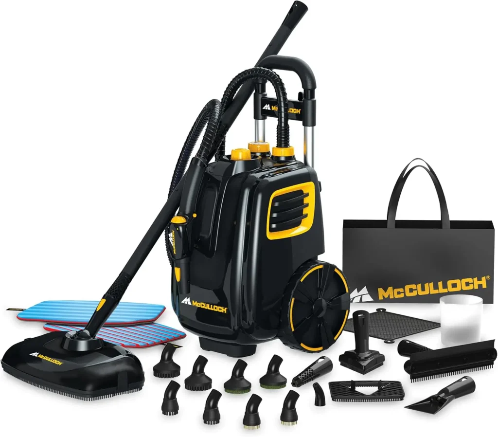 how to get rid of bugs in house with steam cleaner
