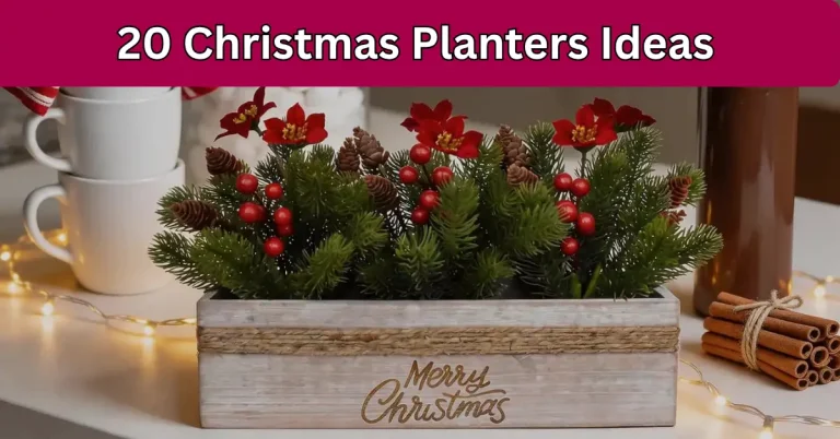 Christmas planters