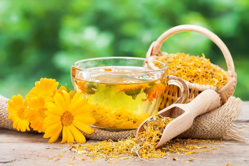 calendula vs marigold tea